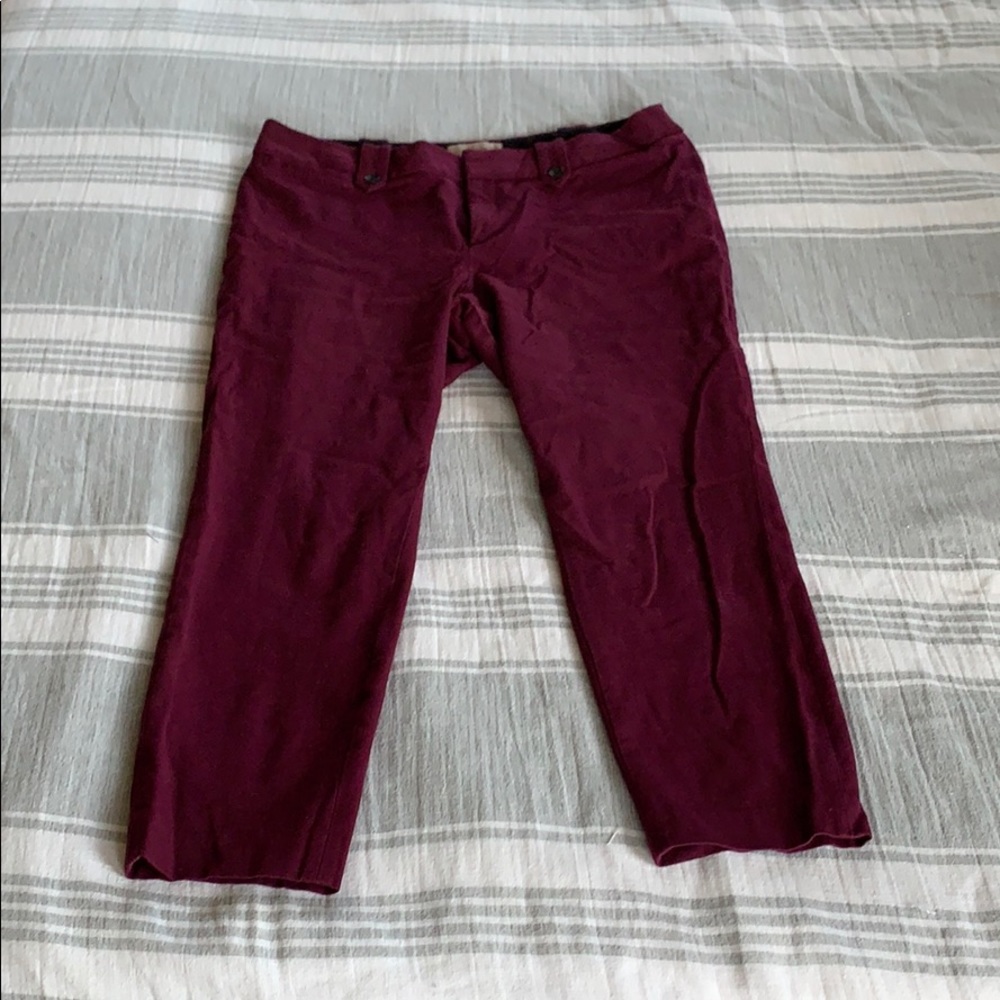 Maroon Capri